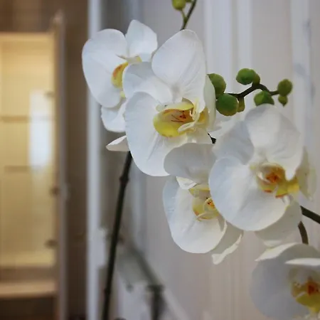 Appartement Renovated Flat Montparnasse